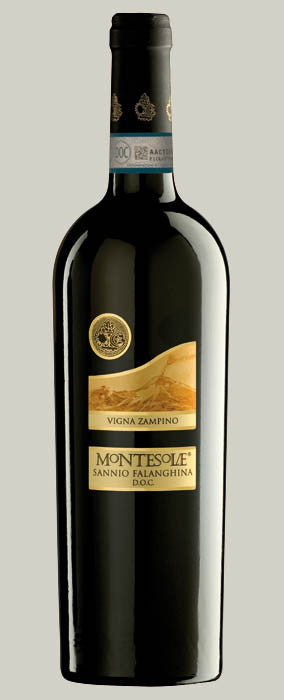 Vigna Zampino Falanghina Del Sannio D.O.C.G.